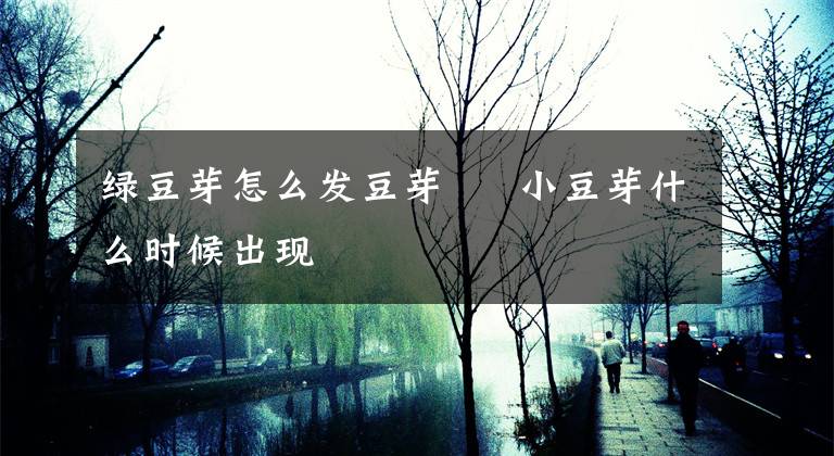 绿豆芽怎么发豆芽 小豆芽什么时候出现