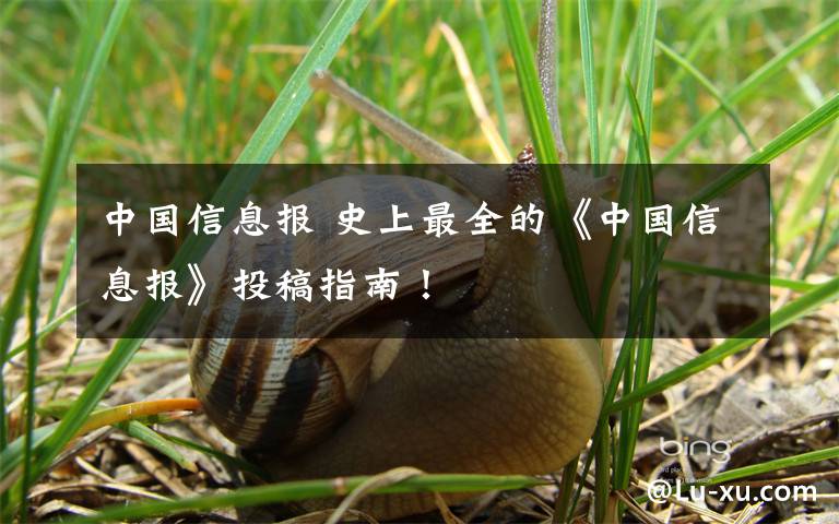 中国信息报 史上最全的《中国信息报》投稿指南！