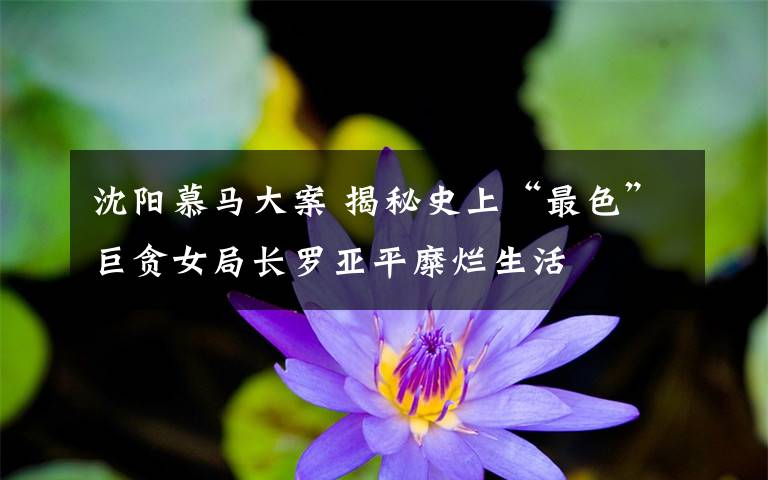 沈阳慕马大案 揭秘史上“最色”巨贪女局长罗亚平糜烂生活