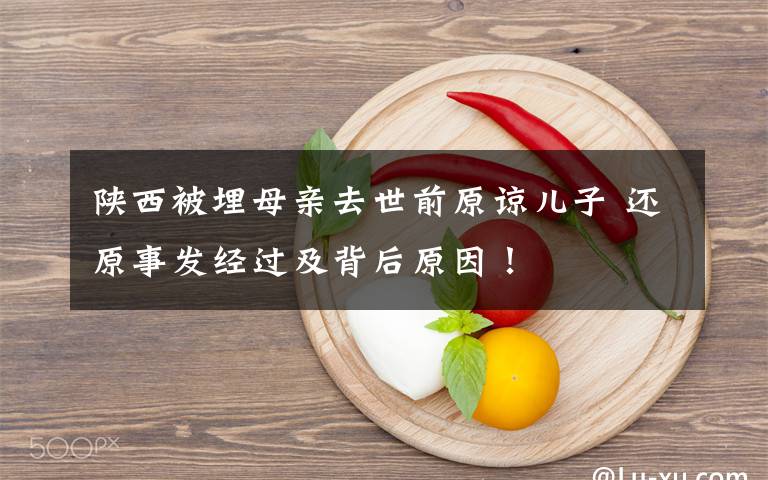陕西被埋母亲去世前原谅儿子 还原事发经过及背后原因!