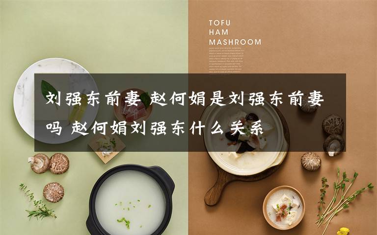 刘强东前妻 赵何娟是刘强东前妻吗 赵何娟刘强东什么关系