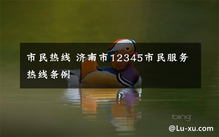 市民热线 济南市12345市民服务热线条例