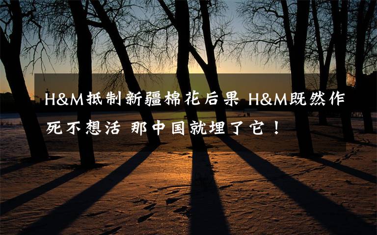 H&M抵制新疆棉花后果 H&M既然作死不想活 那中国就埋了它！