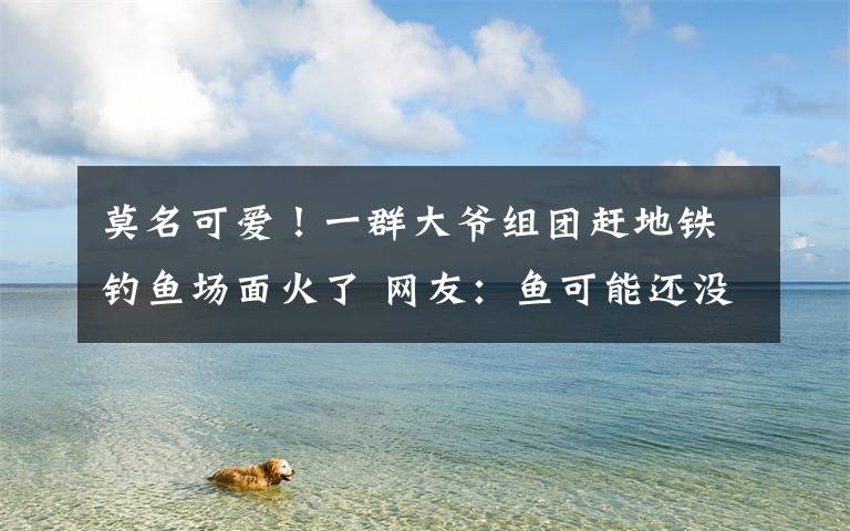 莫名可爱!一群大爷组团赶地铁钓鱼场面火了 网友:鱼可能还没有大爷多