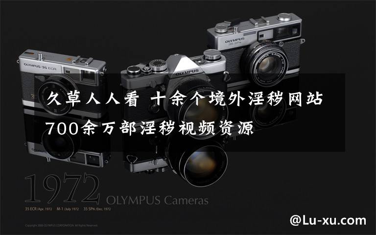 久草人人看 十余个境外淫秽网站700余万部淫秽视频资源