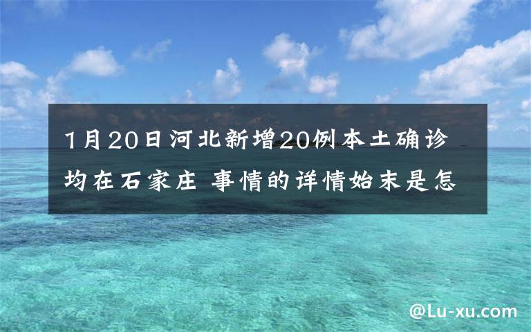 1月20日河北新增20例本土确诊 均在石家庄 事情的详情始末是怎么样了!