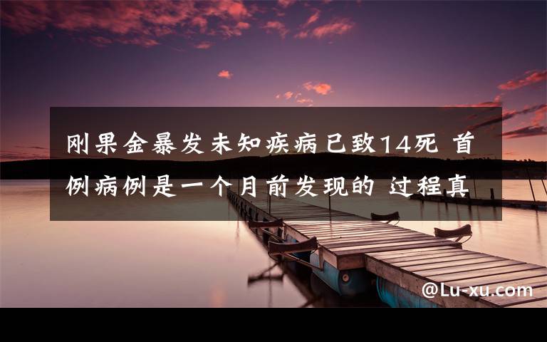 刚果金暴发未知疾病已致14死 首例病例是一个月前发现的 过程真相详细揭秘!