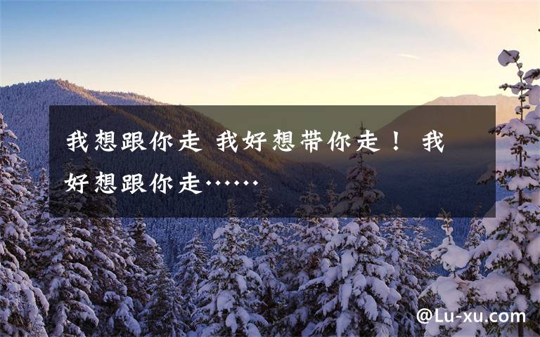 我想跟你走 我好想带你走！ 我好想跟你走……