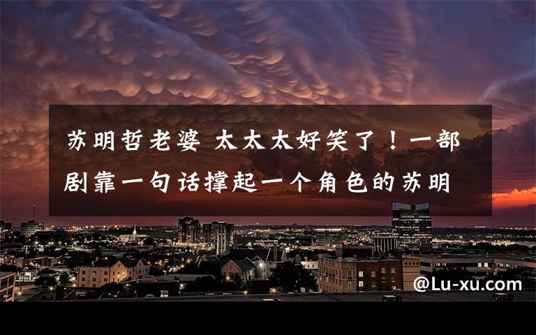 苏明哲老婆 太太太好笑了!一部剧靠一句话撑起一个角色的苏明哲,不愧是我们当初认识的陆尔豪!
