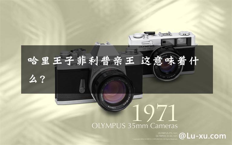 哈里王子菲利普亲王 这意味着什么?