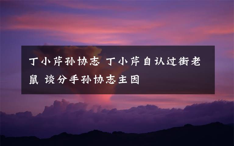 丁小芹孙协志 丁小芹自认过街老鼠 谈分手孙协志主因