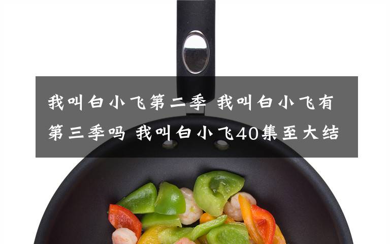 我叫白小飞第二季 我叫白小飞有第三季吗 我叫白小飞40集至大结局剧情介绍