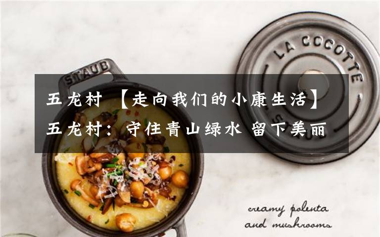 五龙村 【走向我们的小康生活】五龙村:守住青山绿水 留下美丽乡愁
