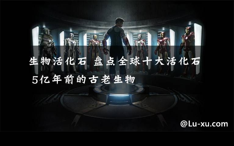 生物活化石 盘点全球十大活化石 5亿年前的古老生物