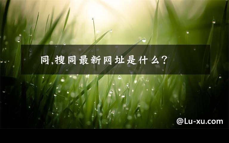 捜同,搜同最新网址是什么？