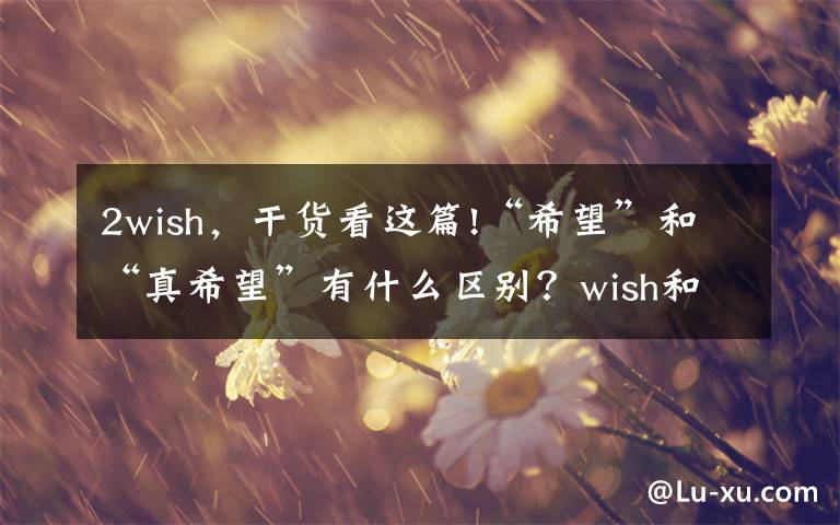 2wish,干货看这篇!“希望”和“真希望”有什么区别?wish和hope有不同,这个必须背