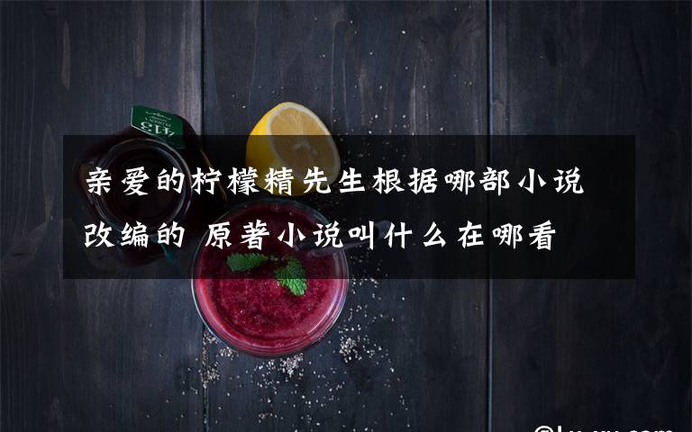 亲爱的柠檬精先生根据哪部小说改编的 原著小说叫什么在哪看