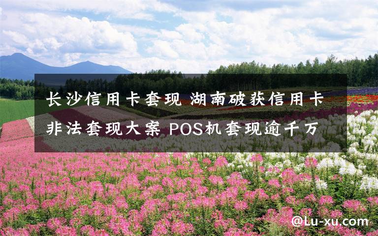 长沙信用卡套现 湖南破获信用卡非法套现大案 POS机套现逾千万