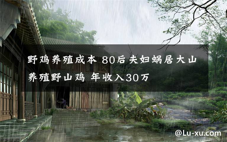 野鸡养殖成本 80后夫妇蜗居大山养殖野山鸡 年收入30万