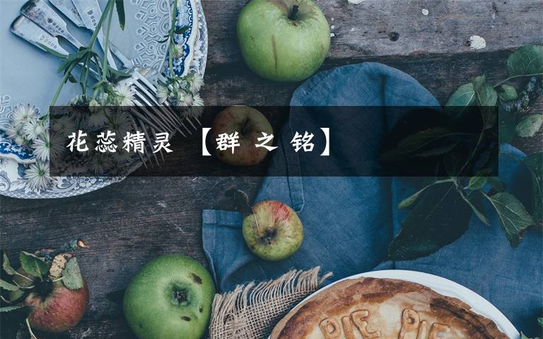 花蕊精灵 【群 之 铭】