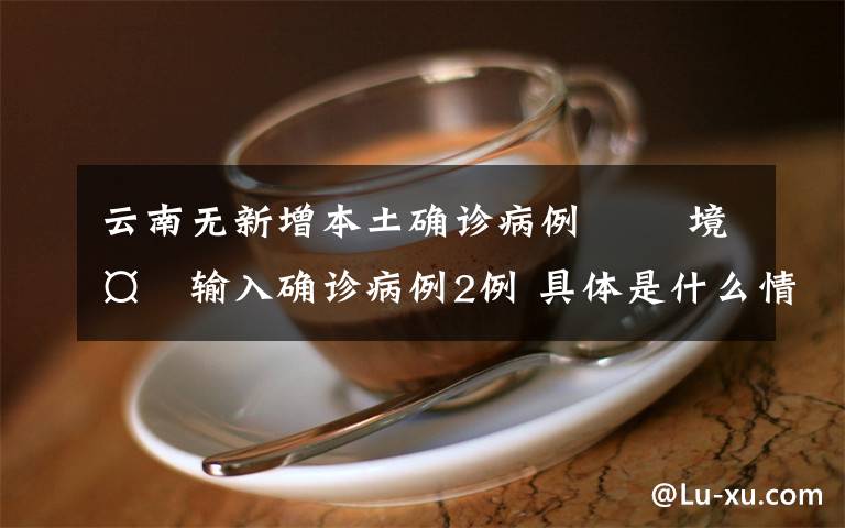 云南无新增本土确诊病例   境外输入确诊病例2例 具体是什么情况?