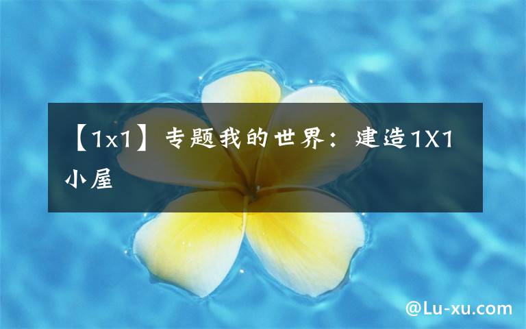 【1x1】专题我的世界：建造1X1小屋