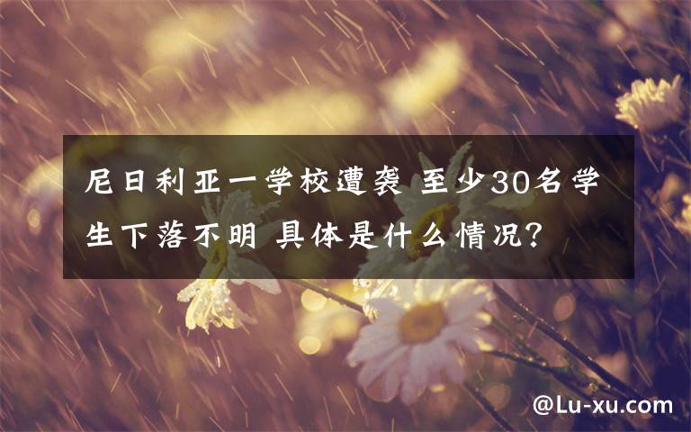 尼日利亚一学校遭袭 至少30名学生下落不明 具体是什么情况?