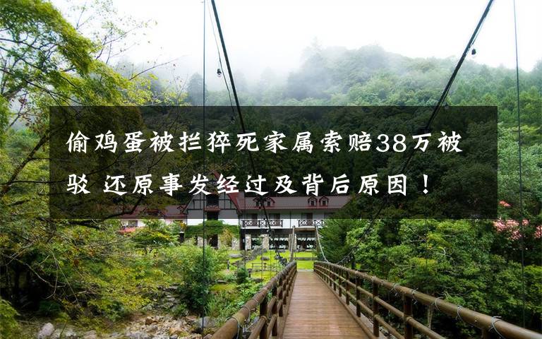 偷鸡蛋被拦猝死家属索赔38万被驳 还原事发经过及背后原因!