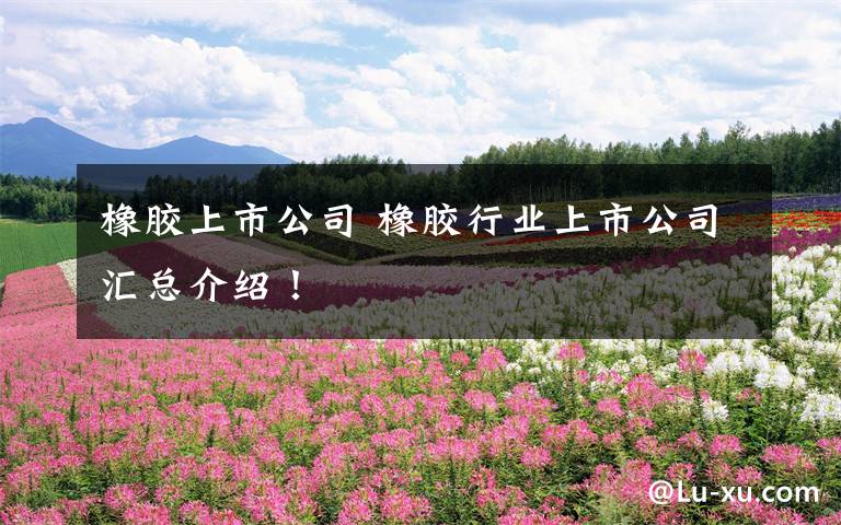 橡胶上市公司 橡胶行业上市公司汇总介绍!