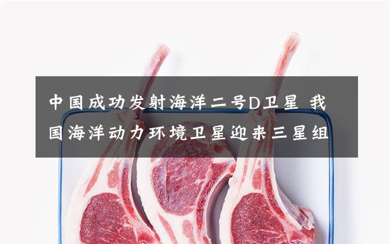 中国成功发射海洋二号D卫星 我国海洋动力环境卫星迎来三星组网时代 究竟是怎么一回事?