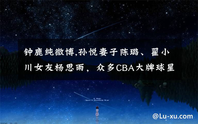 钟鹿纯微博,孙悦妻子陈璐、翟小川女友杨思雨,众多CBA大牌球星的妻子,谁最漂亮?