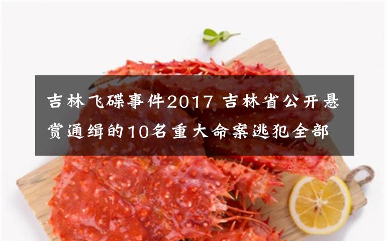 吉林飞碟事件2017 吉林省公开悬赏通缉的10名重大命案逃犯全部落网