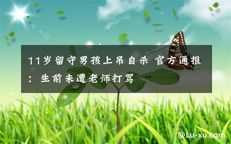 11岁留守男孩上吊自杀 官方通报:生前未遭老师打骂