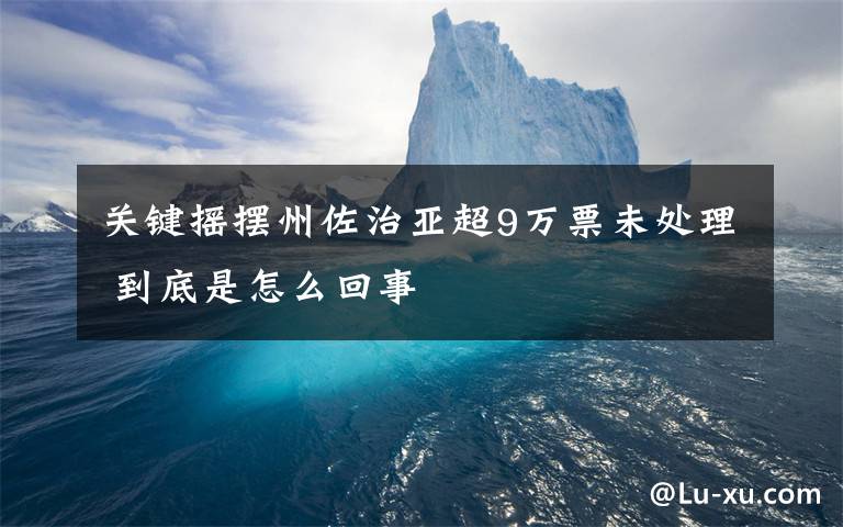 关键摇摆州佐治亚超9万票未处理 到底是怎么回事