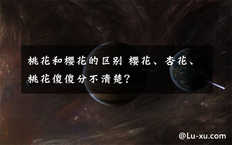 桃花和樱花的区别 樱花、杏花、桃花傻傻分不清楚?