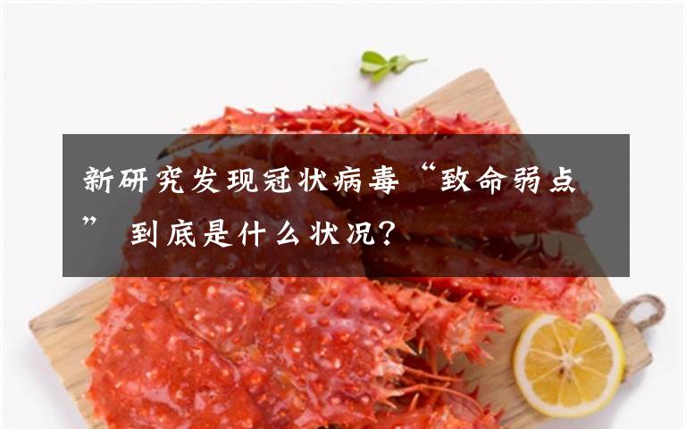 新研究发现冠状病毒“致命弱点” 到底是什么状况?