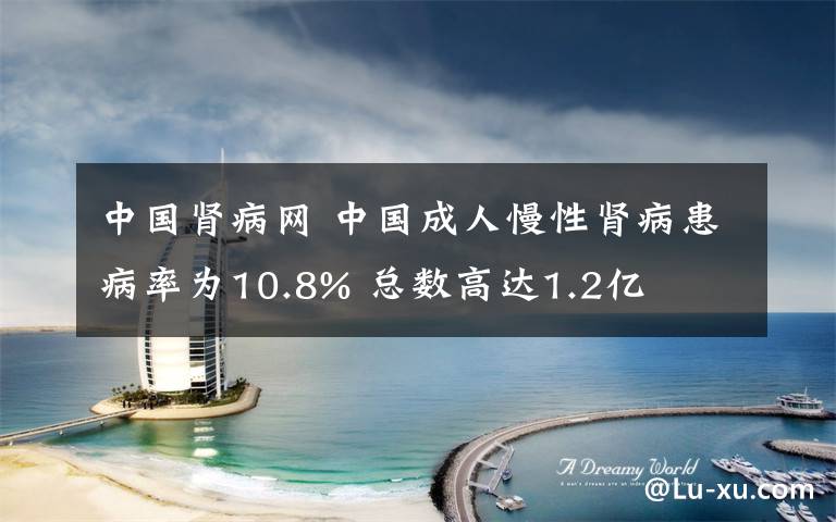 中国肾病网 中国成人慢性肾病患病率为10.8% 总数高达1.2亿