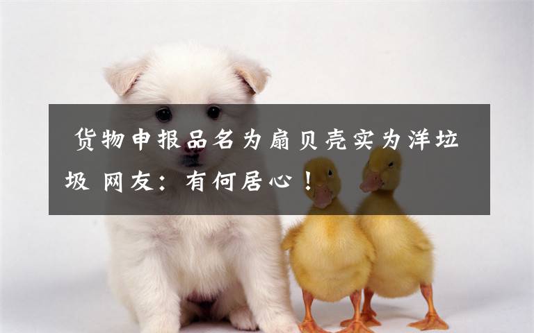 货物申报品名为扇贝壳实为洋垃圾 网友:有何居心!