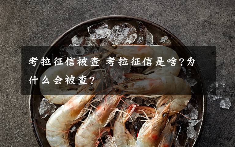 考拉征信被查 考拉征信是啥?为什么会被查?