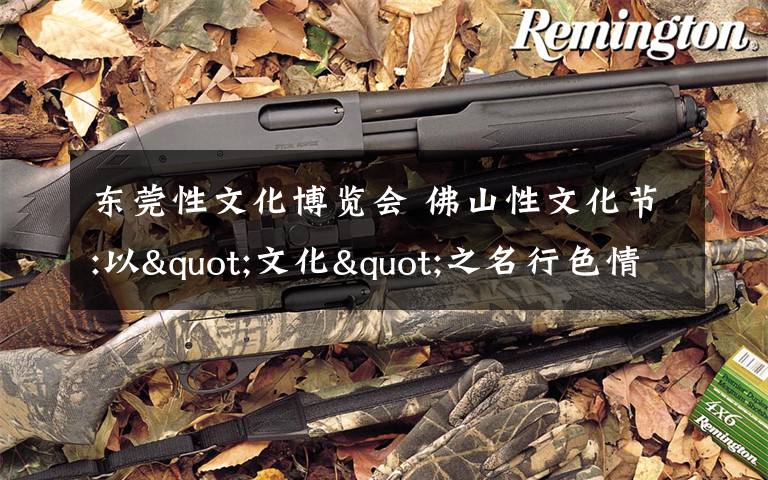 东莞性文化博览会 佛山性文化节:以"文化"之名行色情之实?