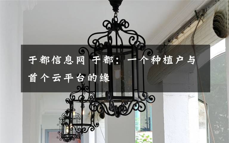 于都信息网 于都:一个种植户与首个云平台的缘