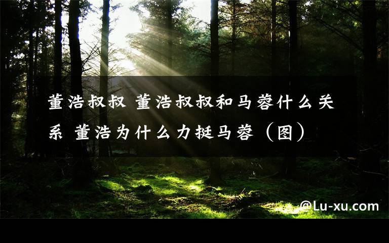 董浩叔叔 董浩叔叔和马蓉什么关系 董浩为什么力挺马蓉（图）