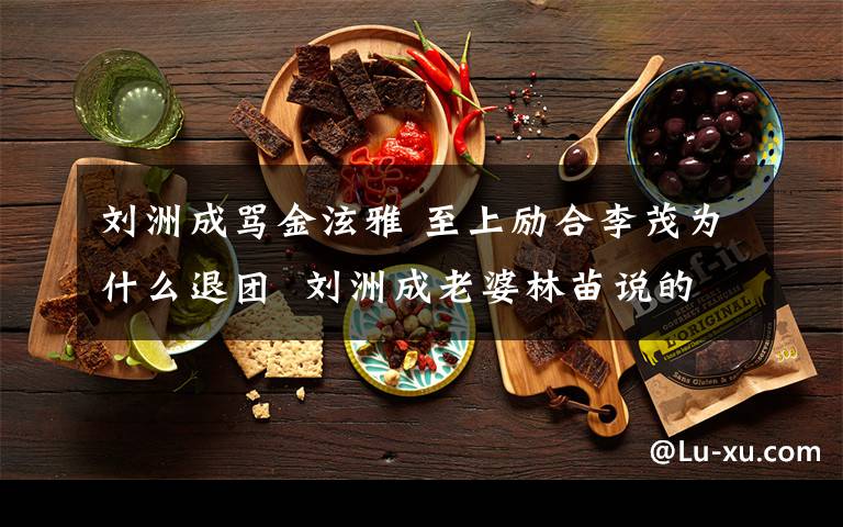 刘洲成骂金泫雅 至上励合李茂为什么退团 刘洲成老婆林苗说的是真的吗