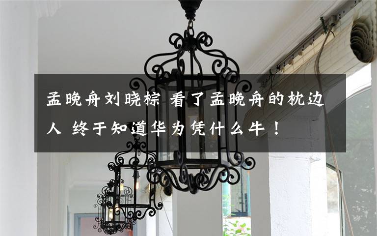 孟晚舟刘晓棕 看了孟晚舟的枕边人 终于知道华为凭什么牛!