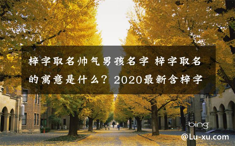 梓字取名帅气男孩名字 梓字取名的寓意是什么?2020最新含梓字起名男孩女孩名字推荐