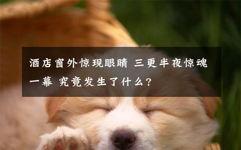 酒店窗外惊现眼睛 三更半夜惊魂一幕 究竟发生了什么?