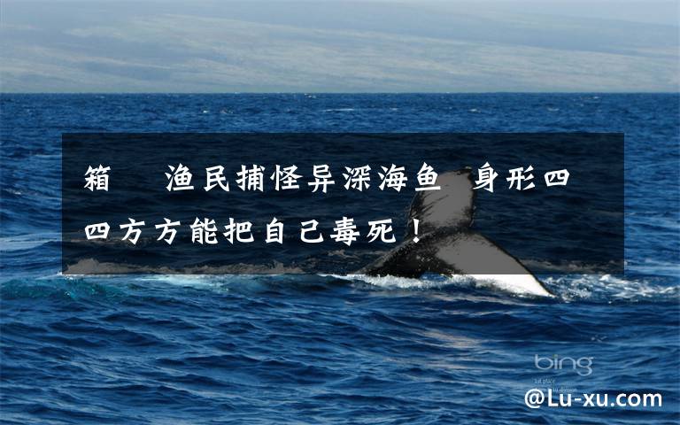 箱鲀 渔民捕怪异深海鱼  身形四四方方能把自己毒死!