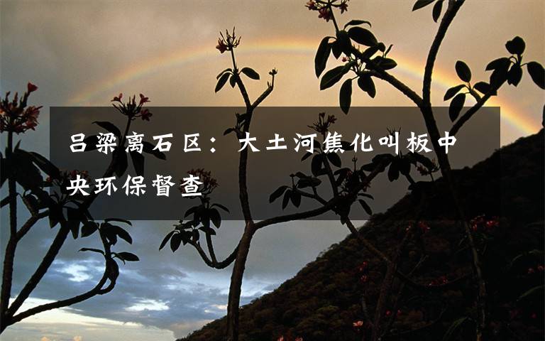 吕梁离石区:大土河焦化叫板中央环保督查