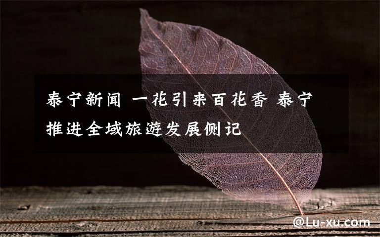 泰宁新闻 一花引来百花香 泰宁推进全域旅游发展侧记