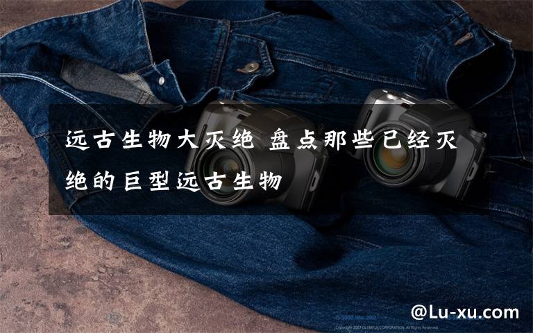 远古生物大灭绝 盘点那些已经灭绝的巨型远古生物